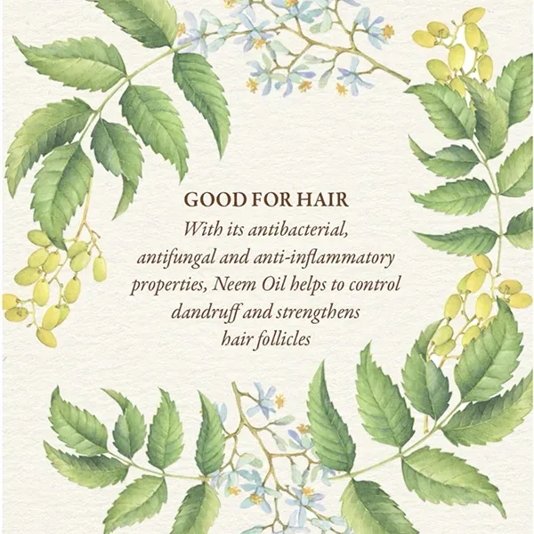 Natural Antibacterial and Antifungal